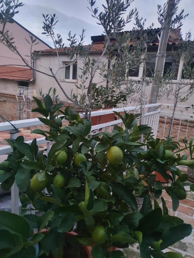Apartment La Dimora Del Cont'orto Giulianova