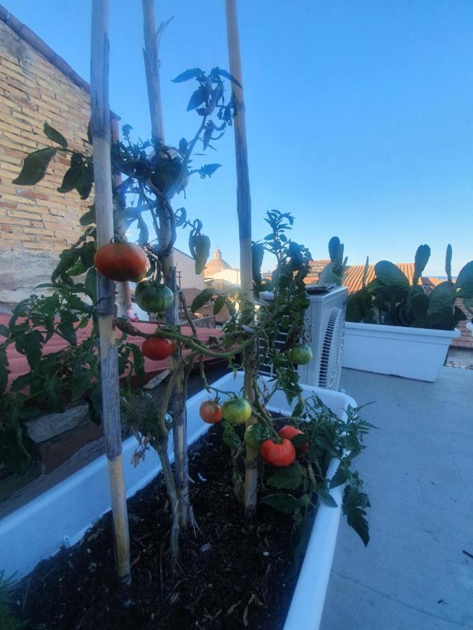 La Dimora Del Cont'orto Giulianova